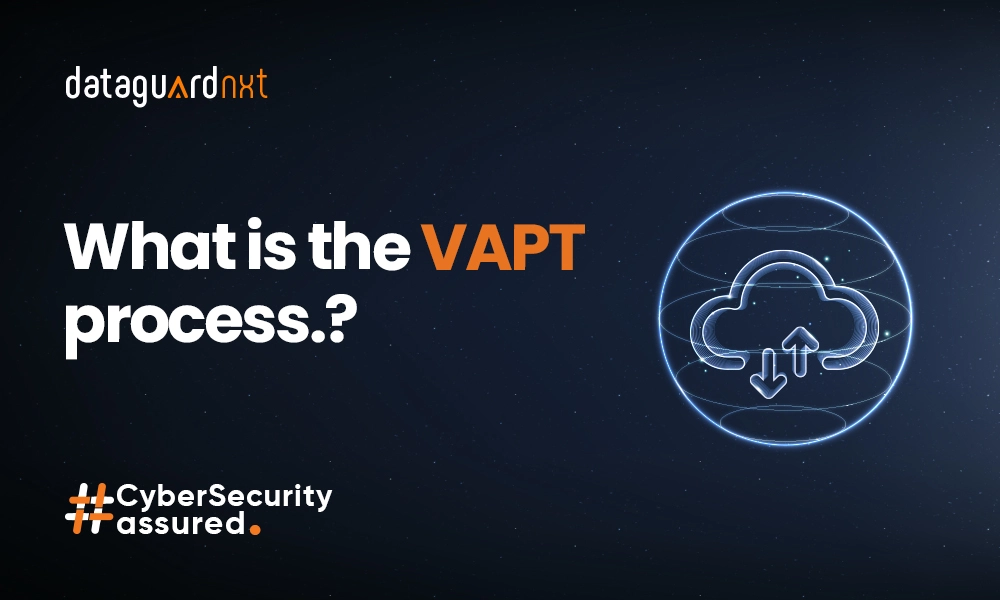VAPT process