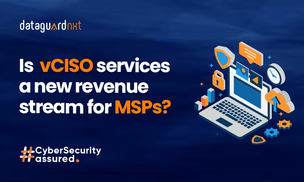 vCISO services