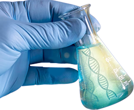 Life Sciences